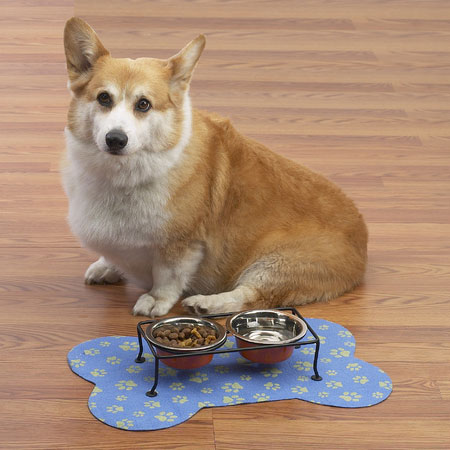 2 Pack of Absorbent Pet Bowl Placemats by Dogs Unleashed 2 Pack of Absorbent Pet Bowl Placemats by Dogs Unleashed