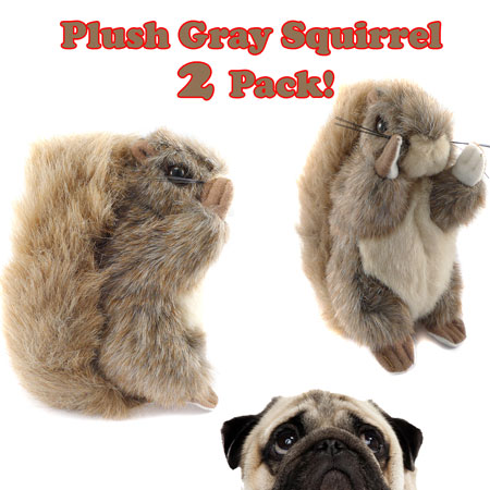 Plush Gray Squirrel 2 Pack!