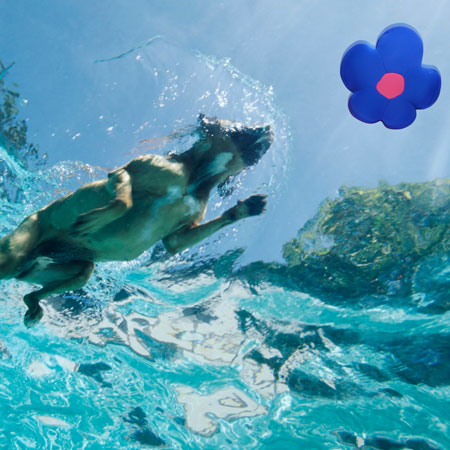 Canine Genius - Daisy Water Retrieval Toy - Great For The Pool!