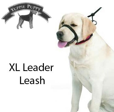 Yuppie Puppy No-Pull Leader Leash - Extra Large