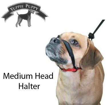 Yuppie Puppy No-Pull Head Halter - Medium